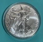 2020 American Silver Eagle Dollar 1 Troy Ounce 0.999 Purity Uncirculated Coin