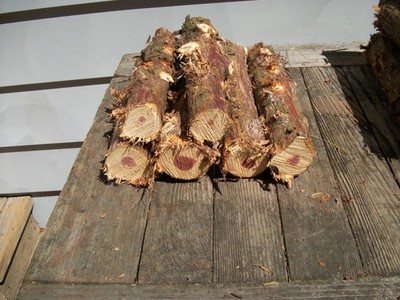 Lot of 6 12'' X 2'' - 3'' Eastern Red Cedar Logs Wood  Crafts - 9 lbs - Fresh