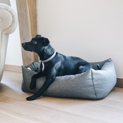 Kentucky Dogwear Hundebett Dog Bed ''Soft Sleep'' Medium - Grey 