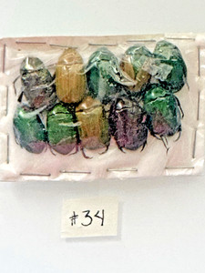 Beetle A1 condition