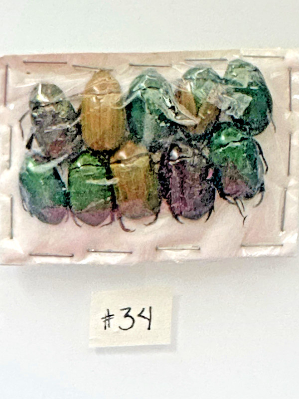 Beetle A1 condition