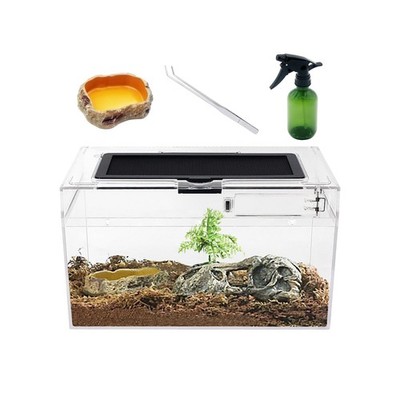 Mini Reptile Terrarium Set,12'' x 7''x 6'' Low Reptile Tank with Full View Visua...