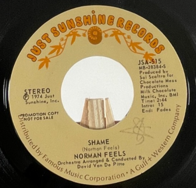 NORMAN FEELS 45 RPM SHAME TWO-SIDED PROMO—M- | eBay