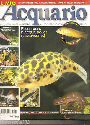 IL MIO ACQUARIO - GIUGNO 2005 - N.81 | eBay