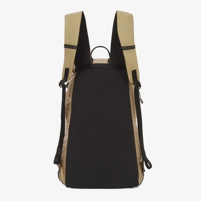 NEW THE NORTH FACE ULTRA-Z 20L BACKPACK WHITE_SAND | eBay