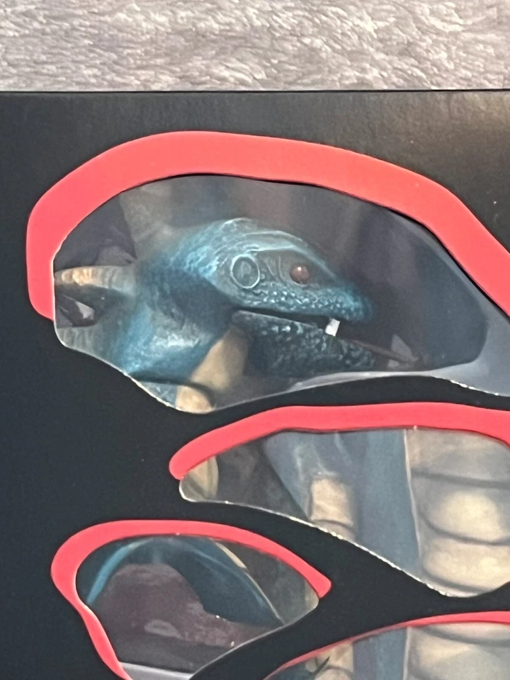 Figura Medicom Toy RAH220 Real Action Heroes Kamen Rider #29 Shocker Tokageron Foto 3 de 4