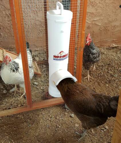 Chicken Feeder & Drinker Set + 2 Litre Drinker / Chook Waterer / Poultry Coop - Picture 8 of 10