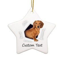Personalized Name Dachshund Ornaments For Christmas Tree 2021 - Dachshund gif...