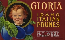 Gloria Brand - Prune Crate Label - Kimberly Idaho - H.T. West