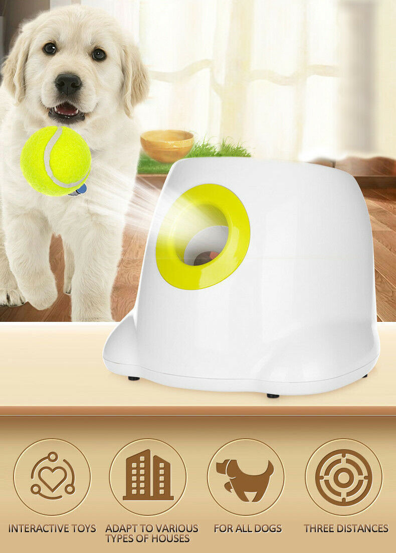 Auto Dog Ball Launcher Thrower Automatic Tennis Fetch Throwing