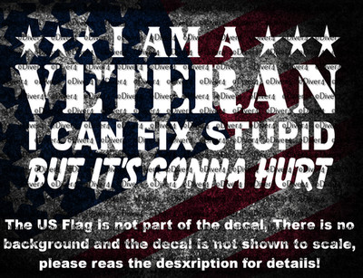 I Am A Veteran I Can Fix Stupid But It's Gonna Hurt Vinyl Decal  US Seller