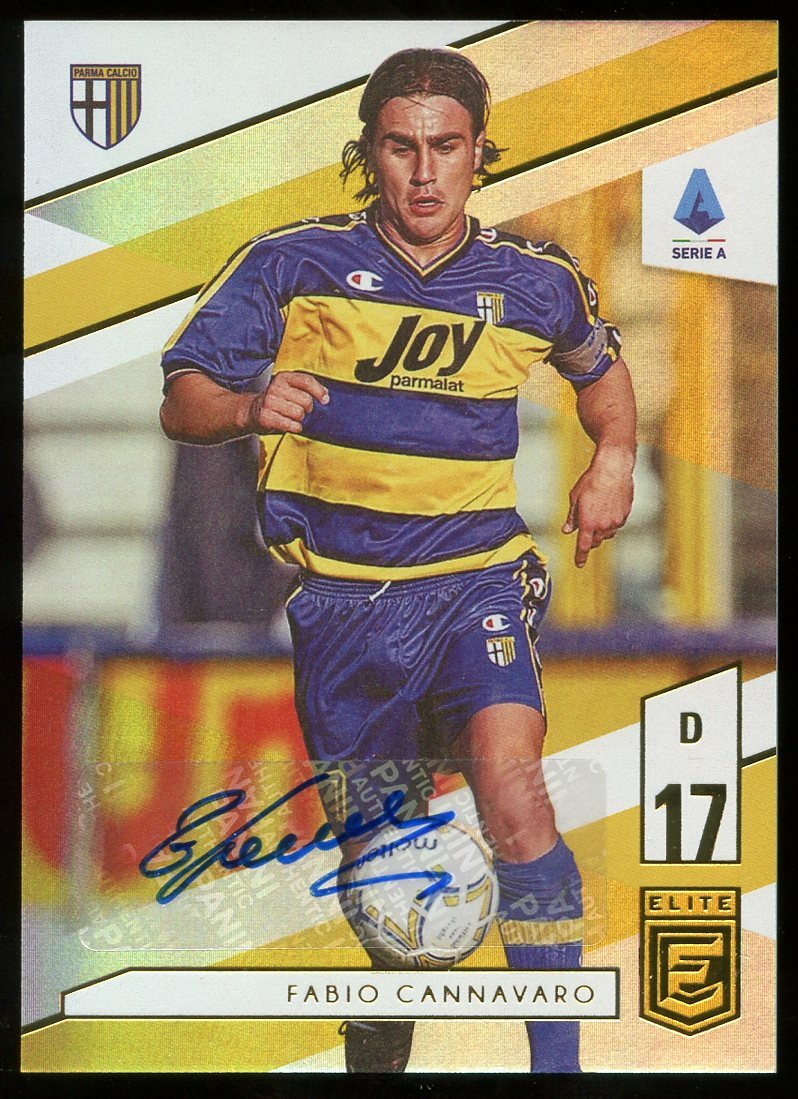 PSA10 カンナバーロ CANNAVARO PFL パニーニフットボールリーグ PSA10 カンナバーロ CANNAVARO PFL パニーニフットボールリーグ