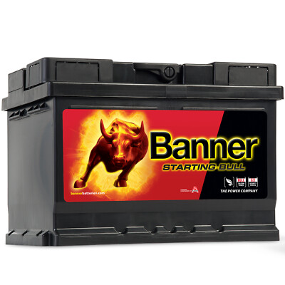 Banner 55519 STARTING BULL 55Ah 12V 450A/EN Autobatterie Batterie 54Ah 56Ah 60Ah