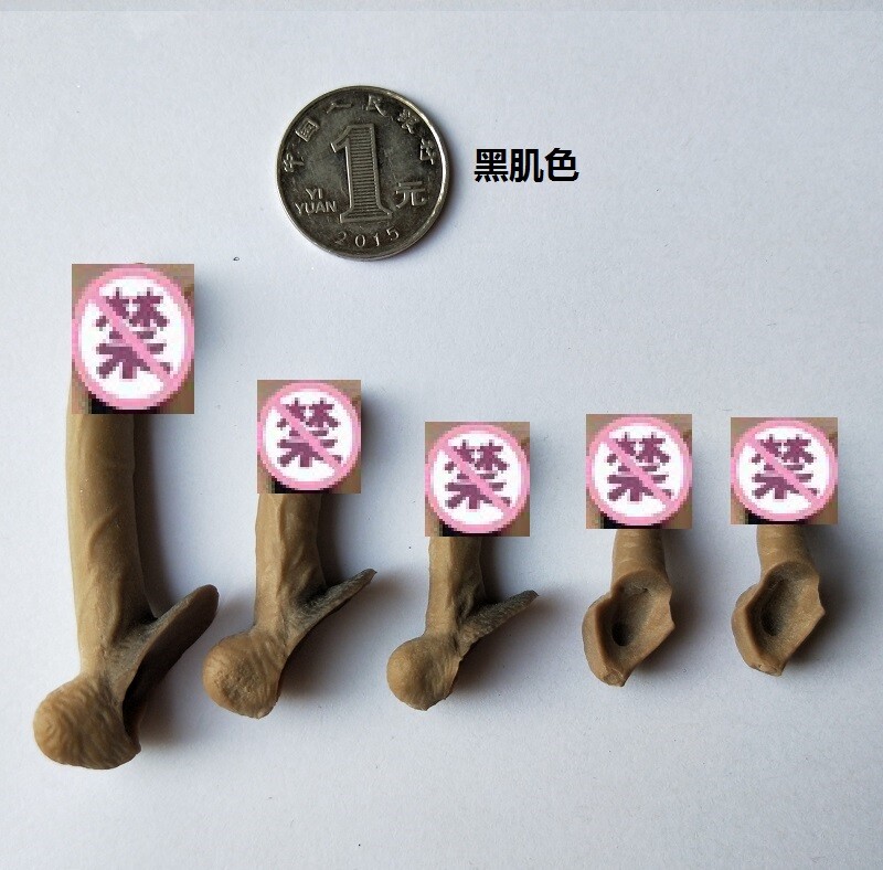 1/6 Scale Male Genitals Penis 3 SIZE Fit 12'' Phicen TBLeague Figure Model  New | eBay