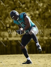 DT900 Calais Campbell Jacksonville Jaguars 8x10 11x14 16x20 Spotlight Photo