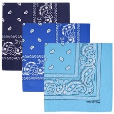 100 Cotton Large Bandanas for Men and Women 22 Inch Paisley Bandana with Mul...