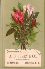 A. D. Perry & Co Syracuse NY Flower Seeds Drain Tile Brick Victorian Card VT103