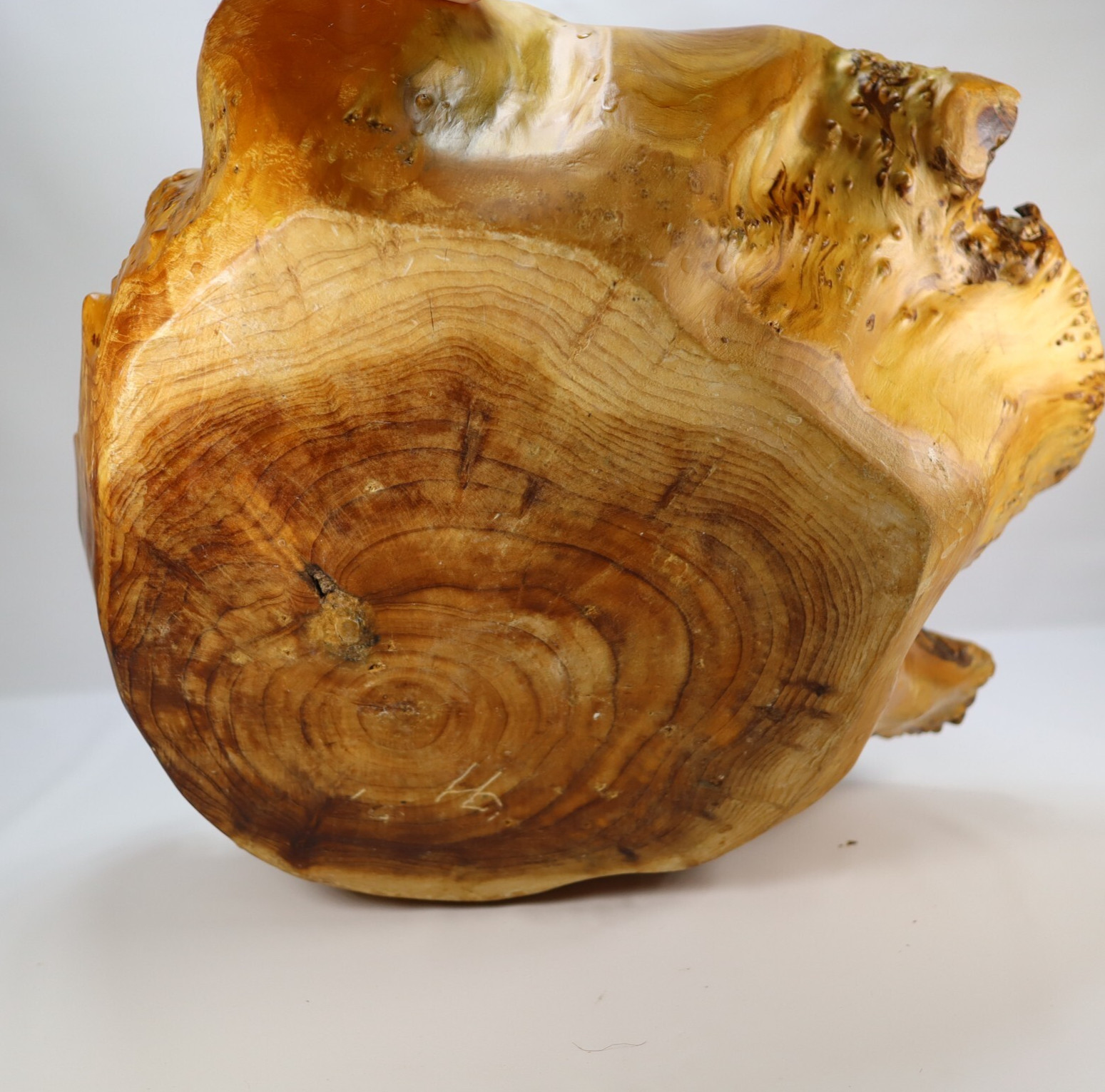 Vintage Burl Wood Basket Bowl Rustic Live Edge Handmade Artisan Driftwood Cabin