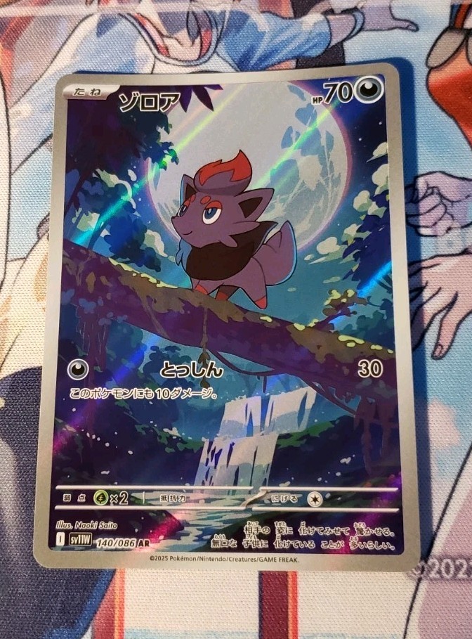Zorua AR 140/086 SV11W White Flare Pokemon Card Japanese Scarlet & Violet US