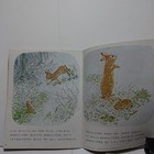 Picture 4 of 4