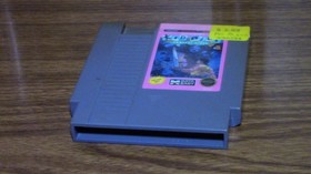 Nintendo NES Kid Niki Radical Ninja Video Game Data East 1987