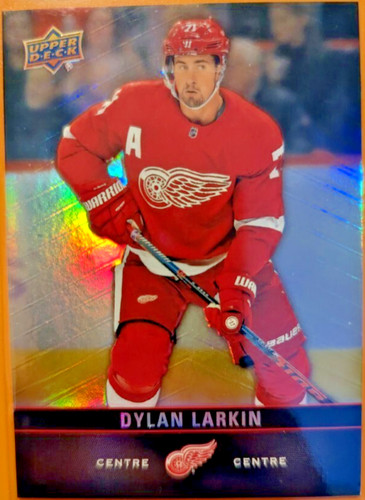 2019 Dylan Larkin #110