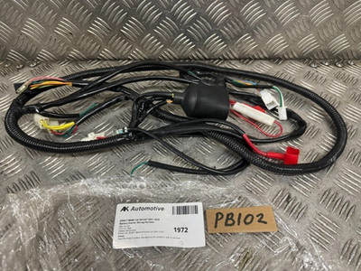 Direct Bikes 125 ZN 125 T Kabelbaum 2021 / 2023