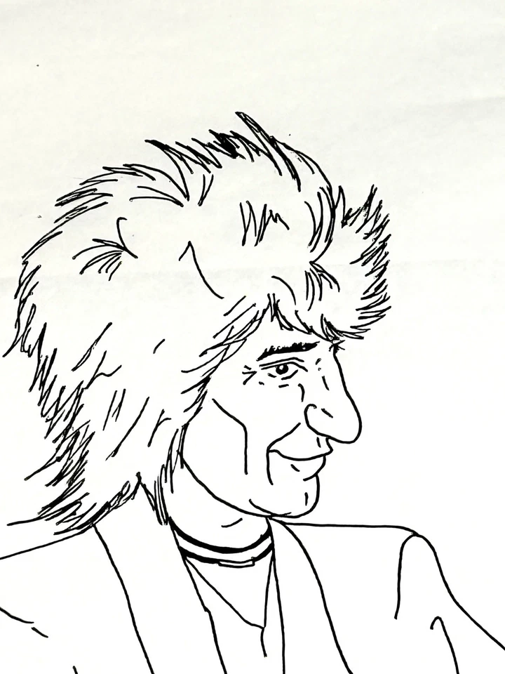 John Entwistle Art The Who Farewell Tour 2025 30”x37” Bill Wyman con certificado de autenticidad Foto 2 de 3