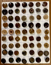 63 Antique VTG Old Carved Pressed Molded Vegetable Ivory Sewing Buttons Brown