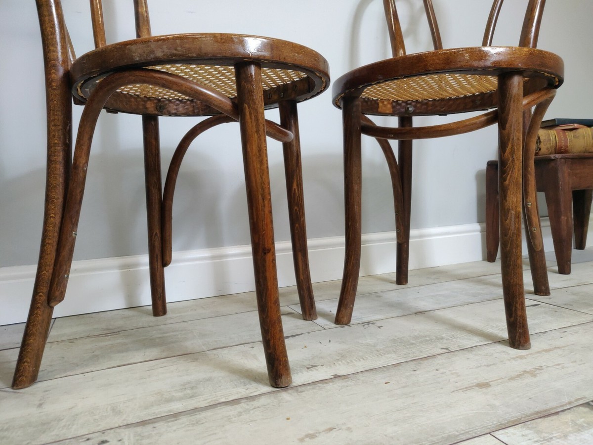 Pair Mid Century Bentwood Cane Rattan Dining Chairs Michael Thonet