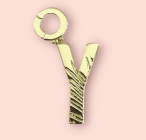 Authentic Gorjana 18K Gold Plated Alphabet Parker Charm-Initial Y NWT
