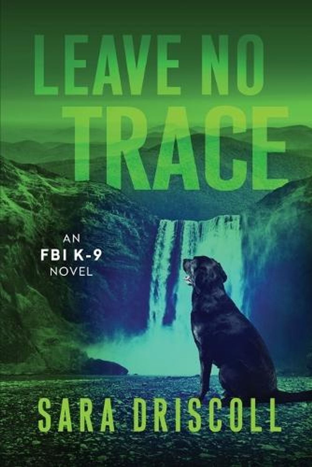 Leave No Trace by Sara Driscoll Paperback Book