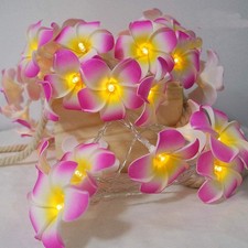 Flower String Lights 19ft 40 LEDs Artificial Plumeria Flower Decorative Light...
