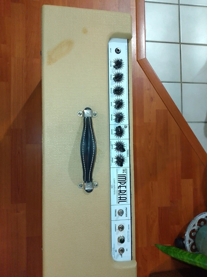 Combo Tolex Carr Imperial 2x12 usado con cubierta acolchada  Foto 2 de 4