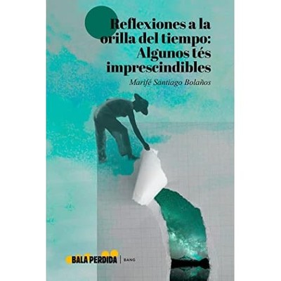 REFLEXIONES A LA ORILLA DEL TIEMPO - Spanish Language Paperback NEW SANTIAGO BOL