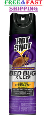 Bed Bug Tick Killer Spray Hot Shot 17.5 oz Flea Bug Insect Aerosol Sprayer Can