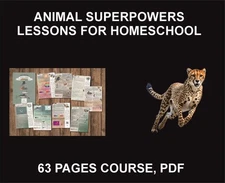 Animals Super Powers, Lesson For Homeschool, PDF