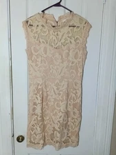 Sans Souci Ladies Blush Pink Lace Cut Out Semi Formal Dress Size XL D6