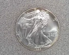 1993 1 oz. .999 American Silver Eagle (204)