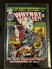 Why Not?! Willie 1 Ghost Rider Homage Ltd 300