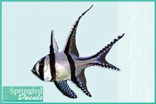 BANGAII CARDINAL FISH Vinyl Decal Car Truck Sticker Aquarium Fish Decal