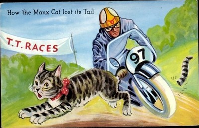Künstler Ak How the Manx Cat lost its Tail, Humor - 5102178