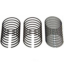Engine Piston Ring Set fits 1969-1985 Interna...