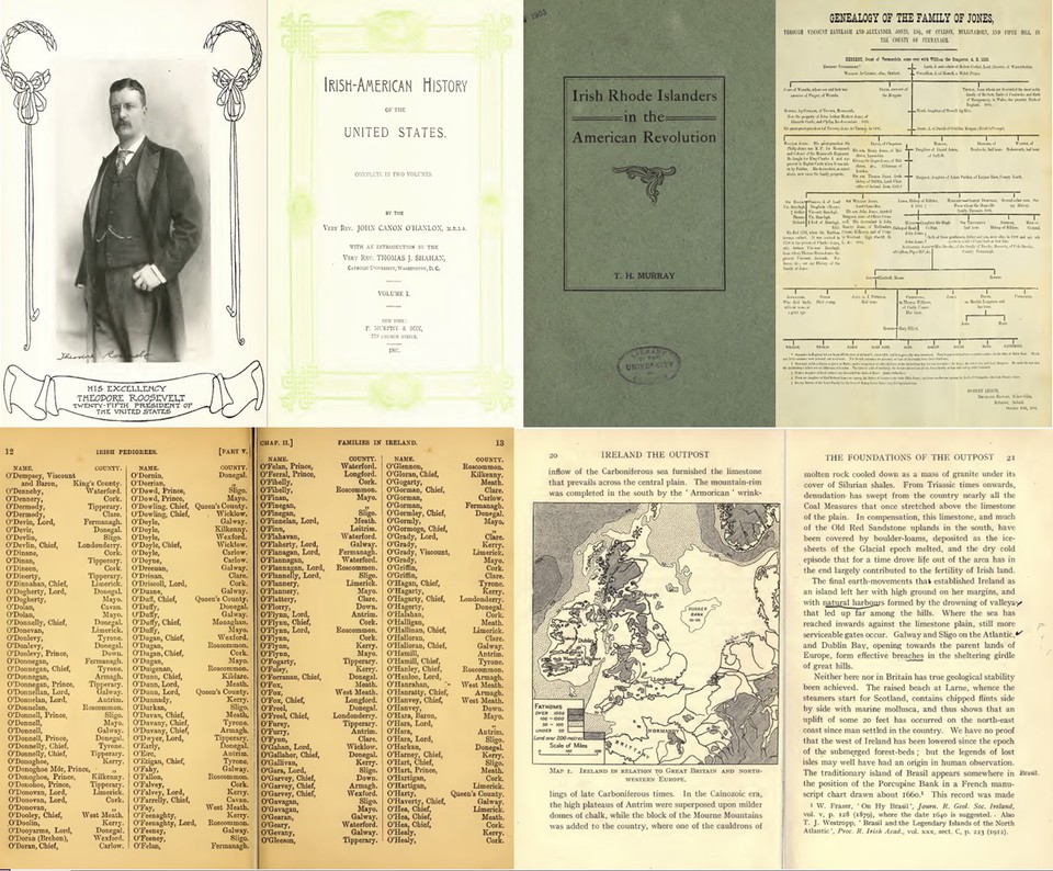 Irish Genealogy Records: Your 2025 Guide To Tracing Ancestry In Ireland - Secret Ireland - Foto 9