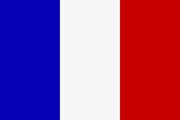 Fahne Flagge Frankreich 30 x 45 cm Bootsflagge Premiumqualität