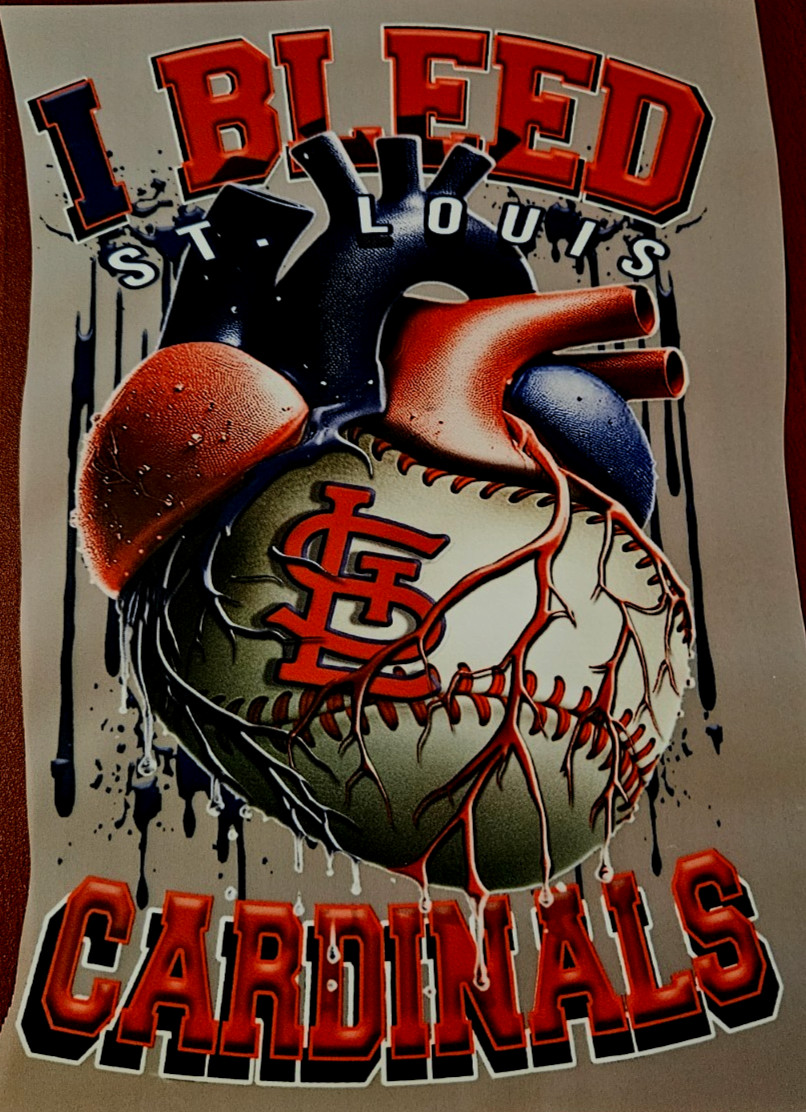 St. Louis Cardinals Colorful 8" DTF Heat Transfer Iron On FREE Shipping (C3/6)