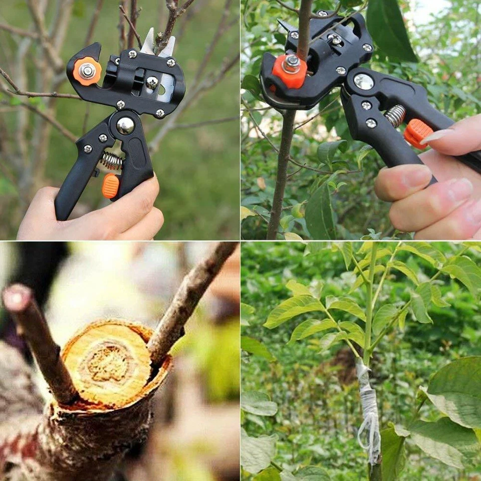 Garden Grafting Cutting Tool Fruit Tree Pruning Shears Scissor Grafting Tape LOT - Image 3 of 4
