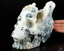 Super Realistic! Lifesized 7.5" Tree Agate Hand Carved Crystal Skull, Healing