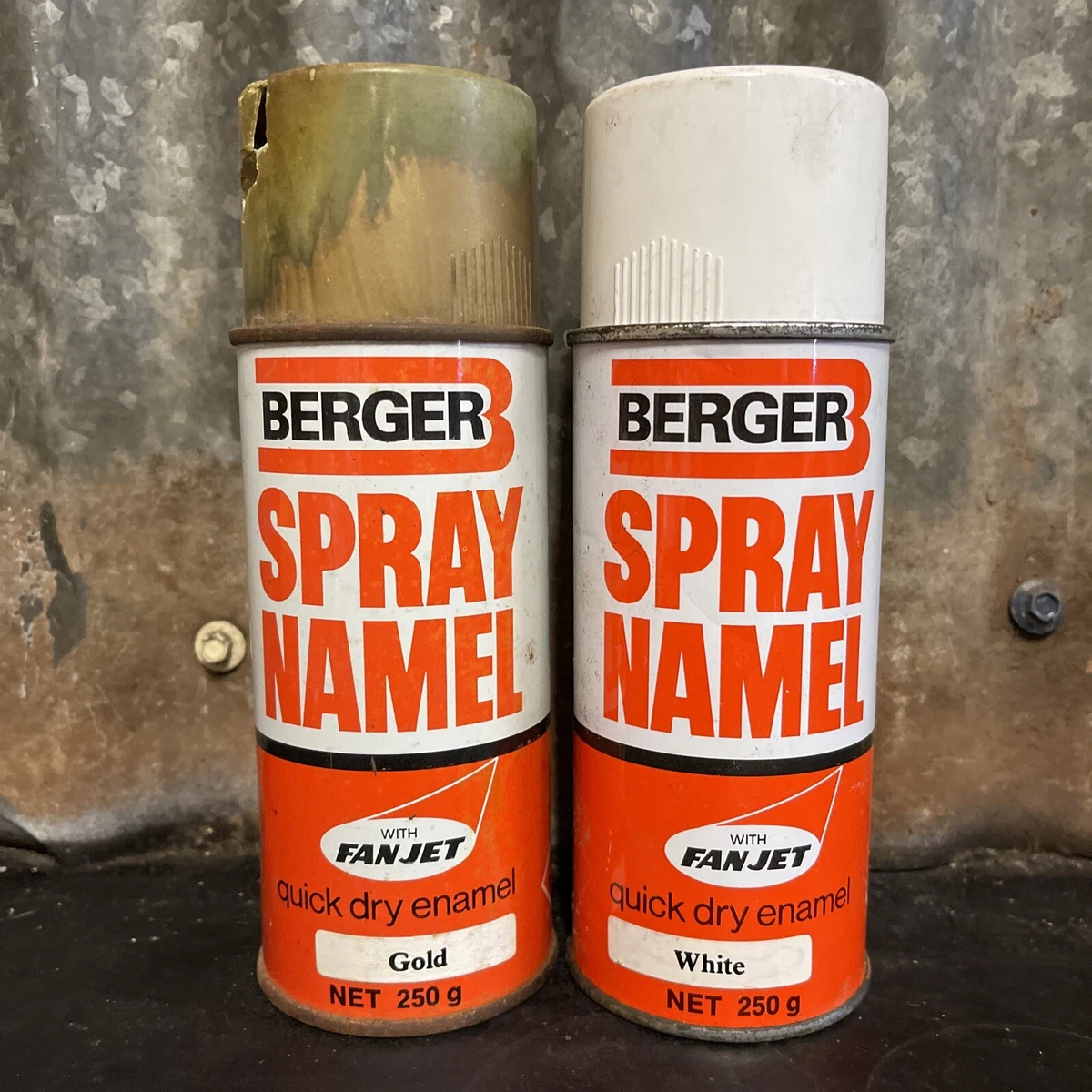 Berger spray paint deals