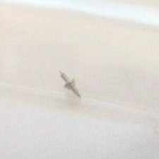 1 NEW YORK STANDARD O SIZE 2107 POCKETWATCH BALANCE STAFF PIVOT 9 ----- B-25-43